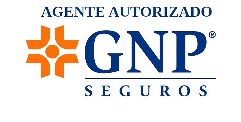 GNP